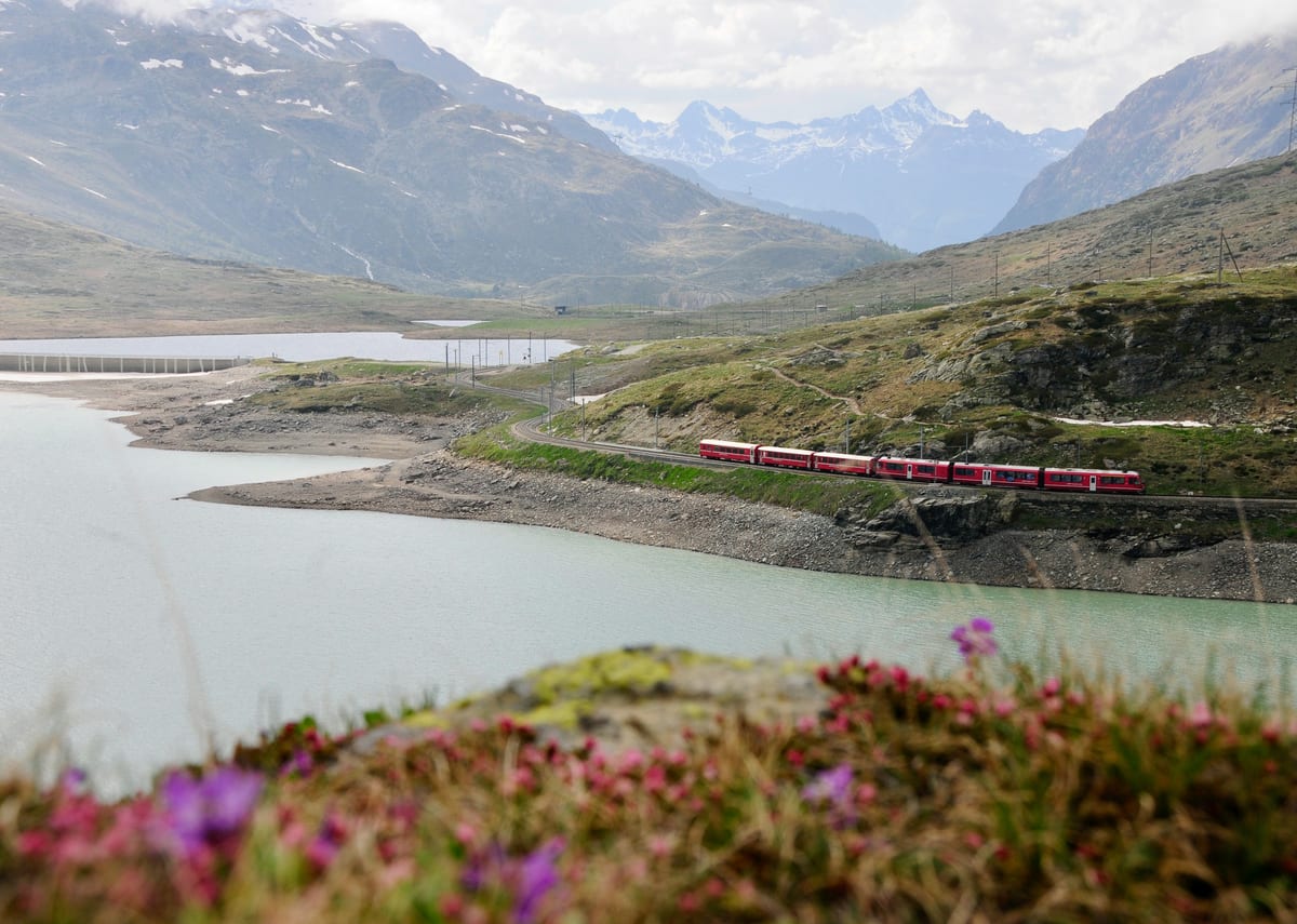 A red Rhaetian Railway train runs along the shore of a high mountain lake, with alpine flowers in front and snowy peaks behind.
